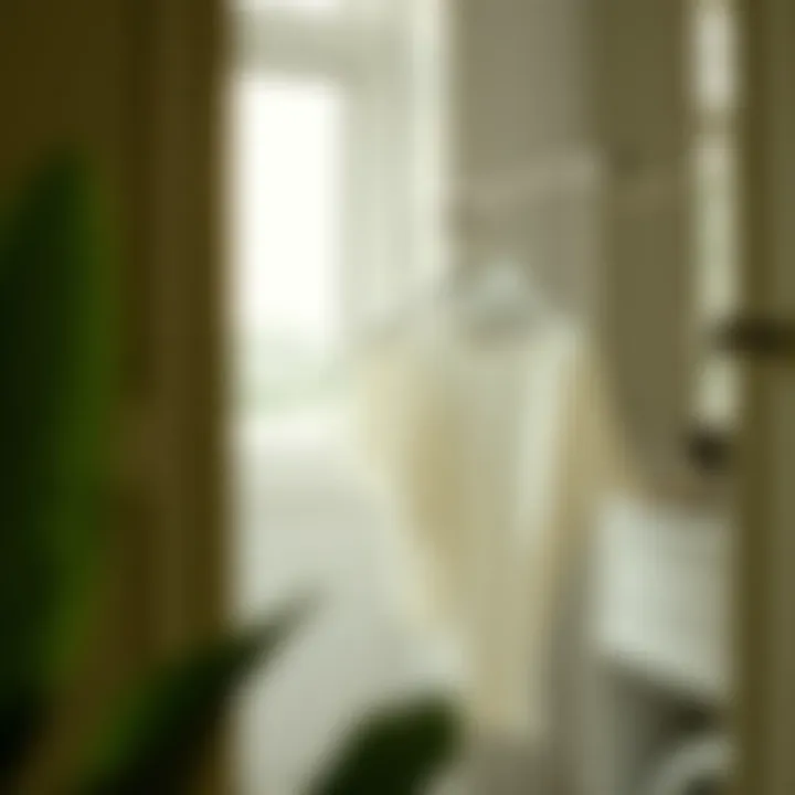 An In-Depth Examination of Retractable Laundry Hangers Introduction