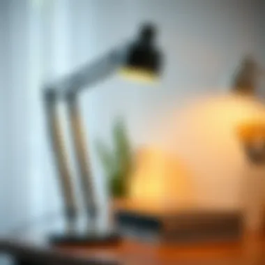 Choosing the Optimal Lighting for Your Desk Lamp Summary Choosing the Optimal Lighting for Your Desk Lamp Summary