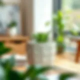 Elegant ceramic 7.5-inch plant pot showcasing intricate patterns