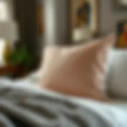 Luxurious fabric choices for pillow protectors