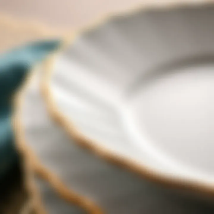 Close-up of material texture in a four-piece dinner plate set