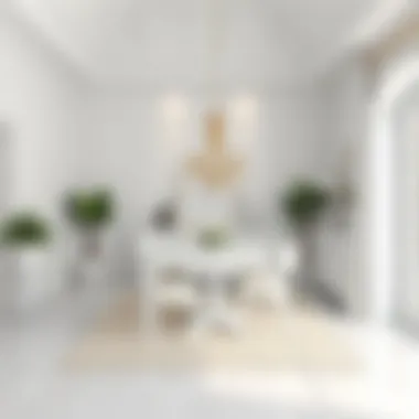 Inviting all-white dining area with contrasting decor