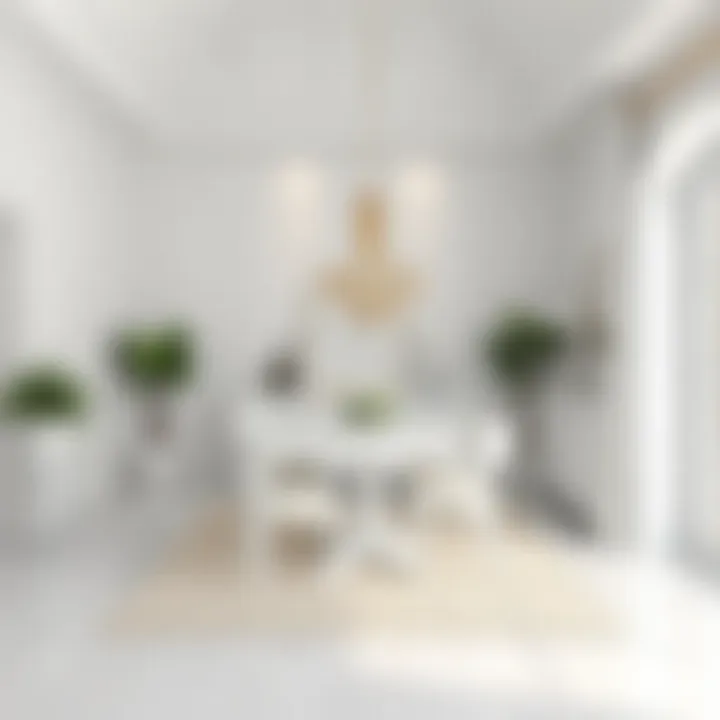 Inviting all-white dining area with contrasting decor