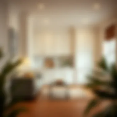 Compact living space enhanced by strategic cabinet placement