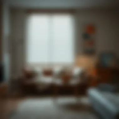 Functionality of HomeKit Blinds in a Home Setting Functionality of HomeKit blinds in a home setting