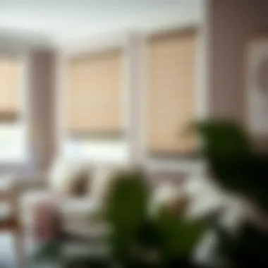 Installation of HomeKit Compatible Blinds Installation of HomeKit compatible blinds