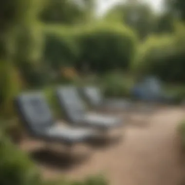 Variety of metal lounge chairs in a landscaped garden