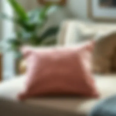 Notable Exploring the Aesthetic and Functional Aspects of Velvet Pillow Covers 16x16 Notable Exploring the Aesthetic and Functional Aspects of Velvet Pillow Covers 16x16