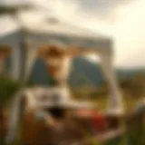 Exploring the Benefits of Outdoor Gazebo Canopy Tents with Removable Walls Introduction