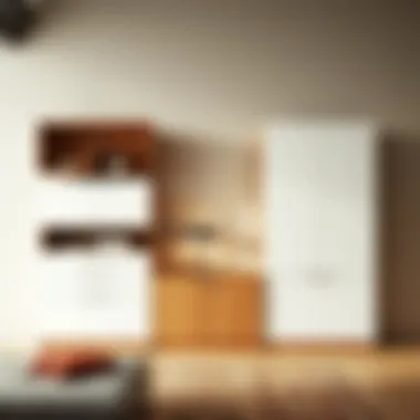 Notable Exploring the Versatility and Design of Wall Dresser Units Notable Exploring the Versatility and Design of Wall Dresser Units