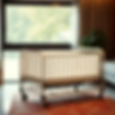 Exploring the Versatility of Rolling Cribs in Modern Living Spaces Summary