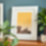 Exploring the Versatility of the 16 x 20 White Wood Frame Introduction