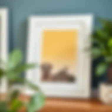 Exploring the Versatility of the 16 x 20 White Wood Frame Introduction