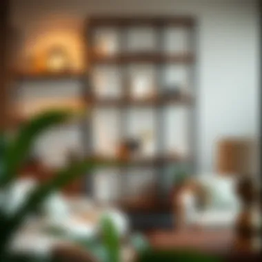Exploring the Versatility of Wall Curio Shelves Introduction Exploring the Versatility of Wall Curio Shelves Introduction