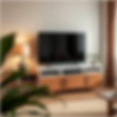 Functional TV stand with ample storage options