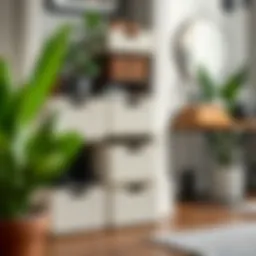 Stylish stackable shoe bins organized in a modern entryway.