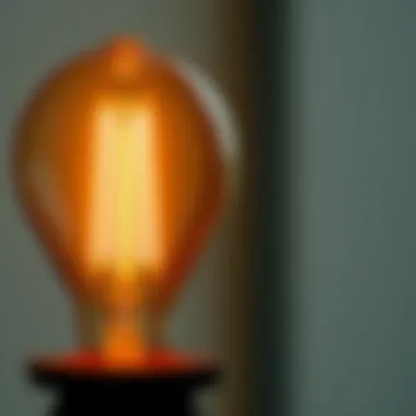 A modern LED filament bulb demonstrating energy efficiency