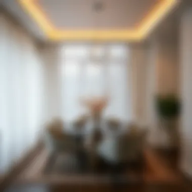 Contemporary Aesthetics Contemporary dining area enhanced by under curtain sheers