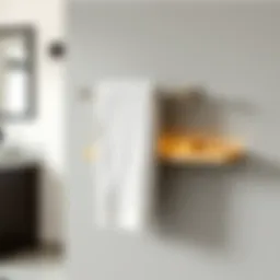 Stylish wall mounted towel rack with shelf
